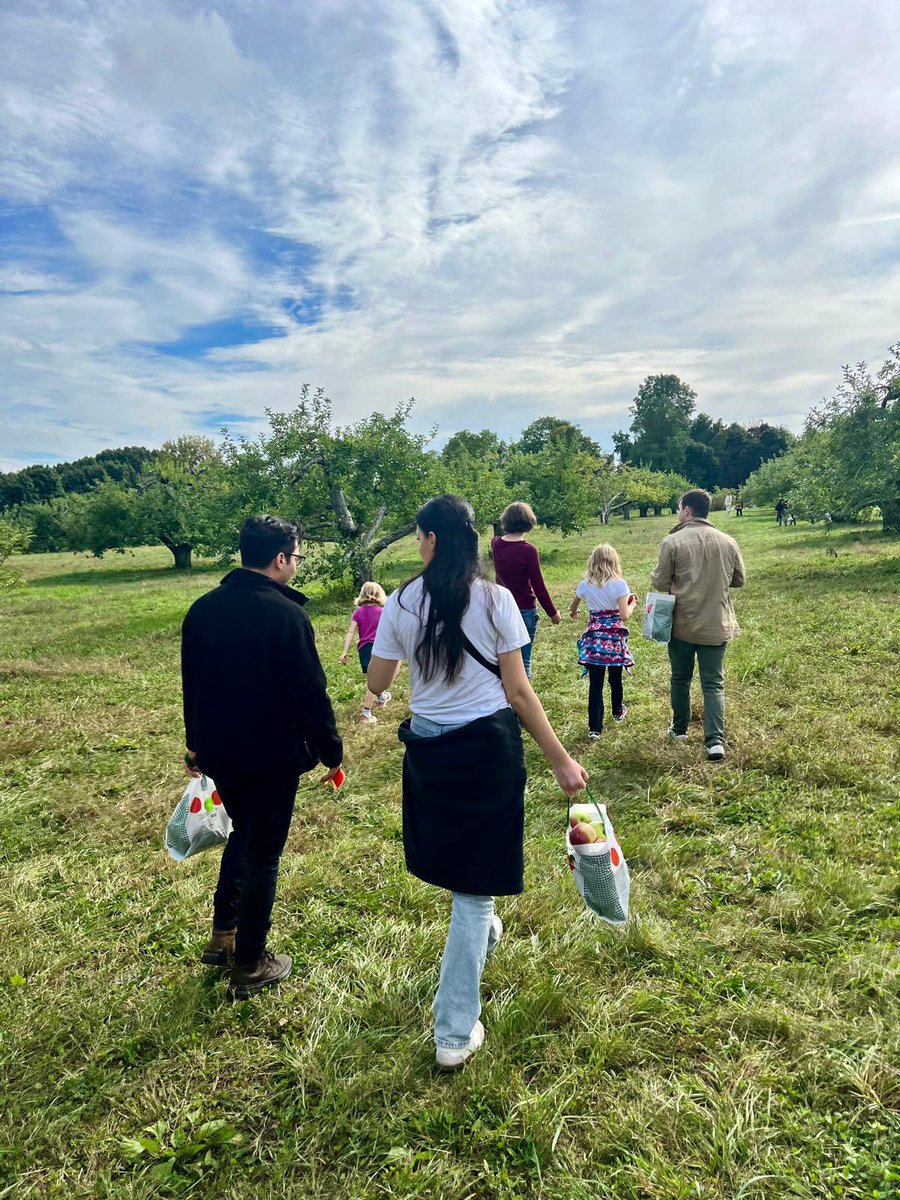 MtAuburnRadRes's tweet photo. A perfect Fall day apple picking with the residency crew and our awesome program director last weekend! #RadLife #FallVibes #MountAuburnRadiology https://t.co/yLkNpsMqO0