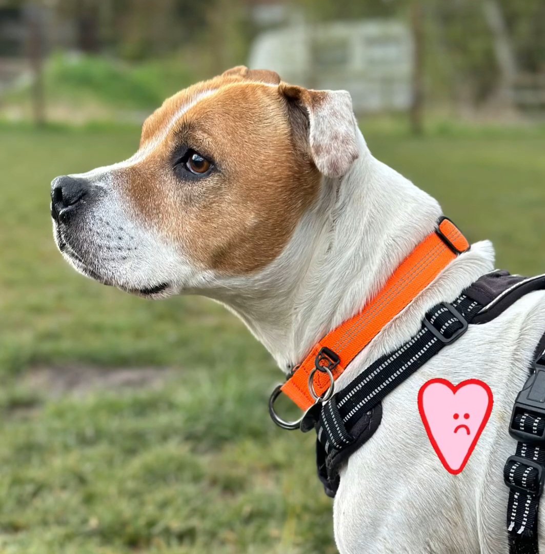 Oldies Club tweet media