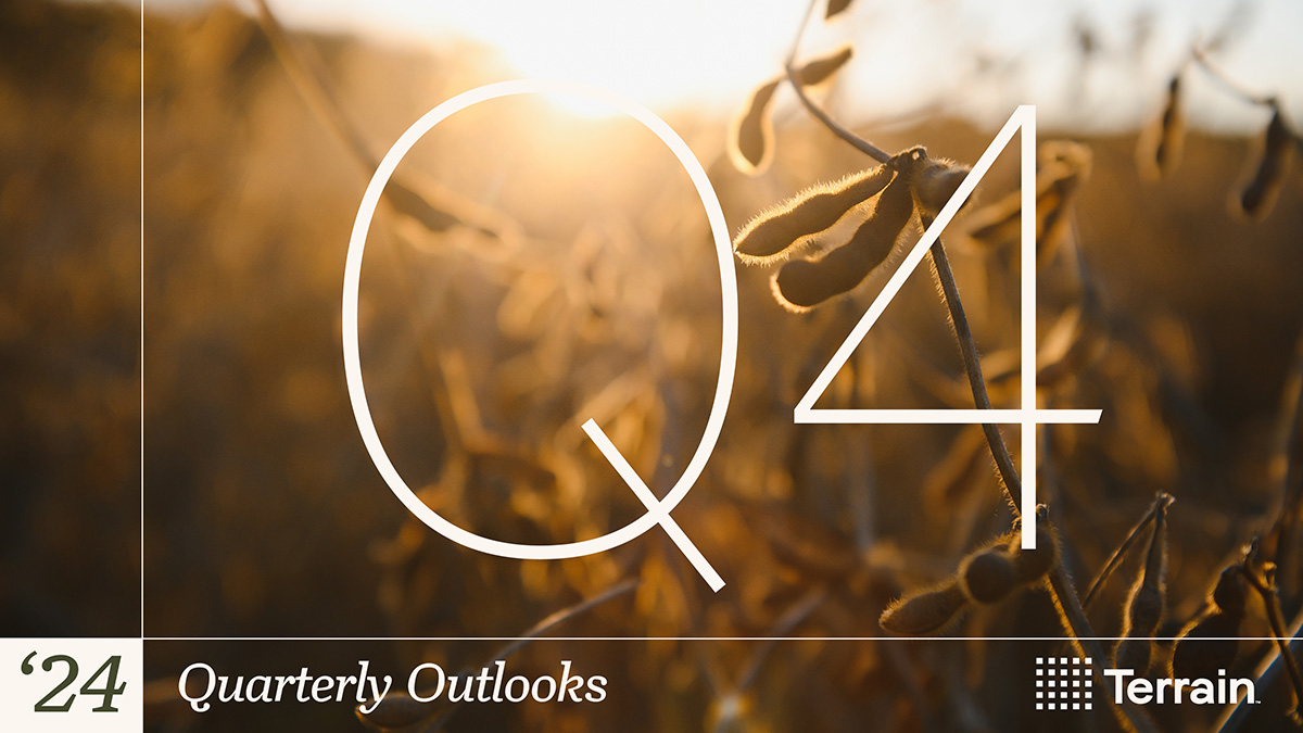 Our Q4 2024 Quarterly Outlooks are out now!

Access our timely analysis of various U.S. agricultural markets, from #beef and #wine to #dairy, #almonds, #soybeans and more 👉 brnw.ch/21wNxkY