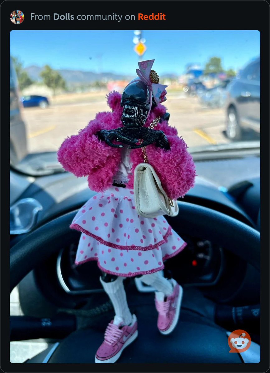 v2mpira2's tweet image. obsessed with this person on the r/dolls subreddit (u/S_L33T)