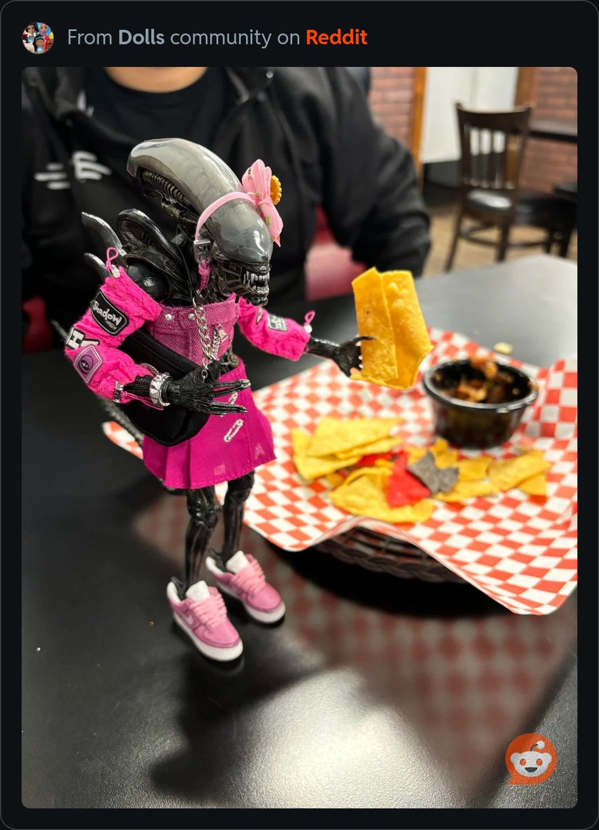 v2mpira2's tweet image. obsessed with this person on the r/dolls subreddit (u/S_L33T)