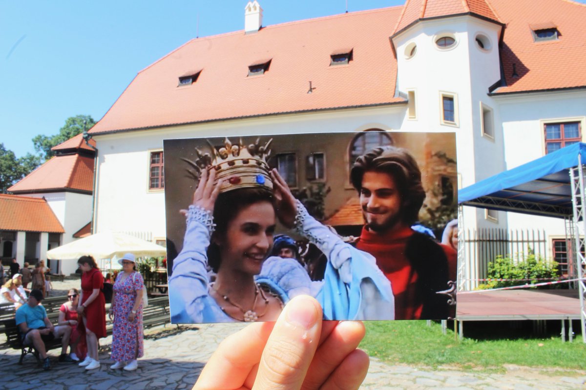 Filmové políčko tweet media