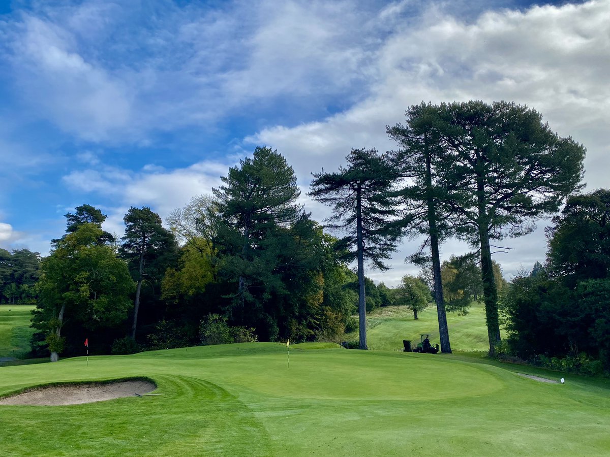 Stuart F Bendoris tweet media