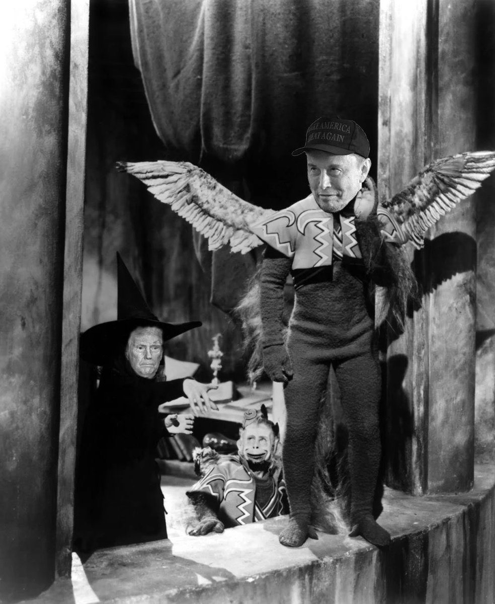 cjmagson's tweet image. 