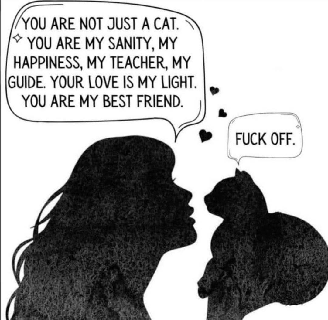 PunchingCat's tweet photo. https://t.co/D9CAY4Ptrg