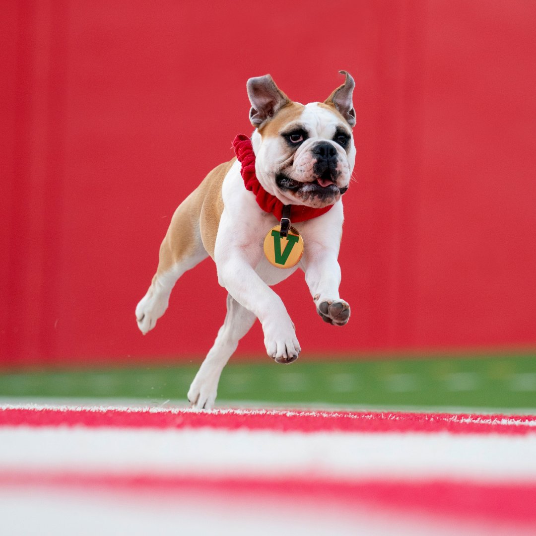 FresnoStateAlum's tweet image. Jumping into homecoming season like... can you believe we're only two weeks away? 🤩
Still need to register for an event? Head over to bit.ly/3Bw2ly5 📆 #FSHomecoming