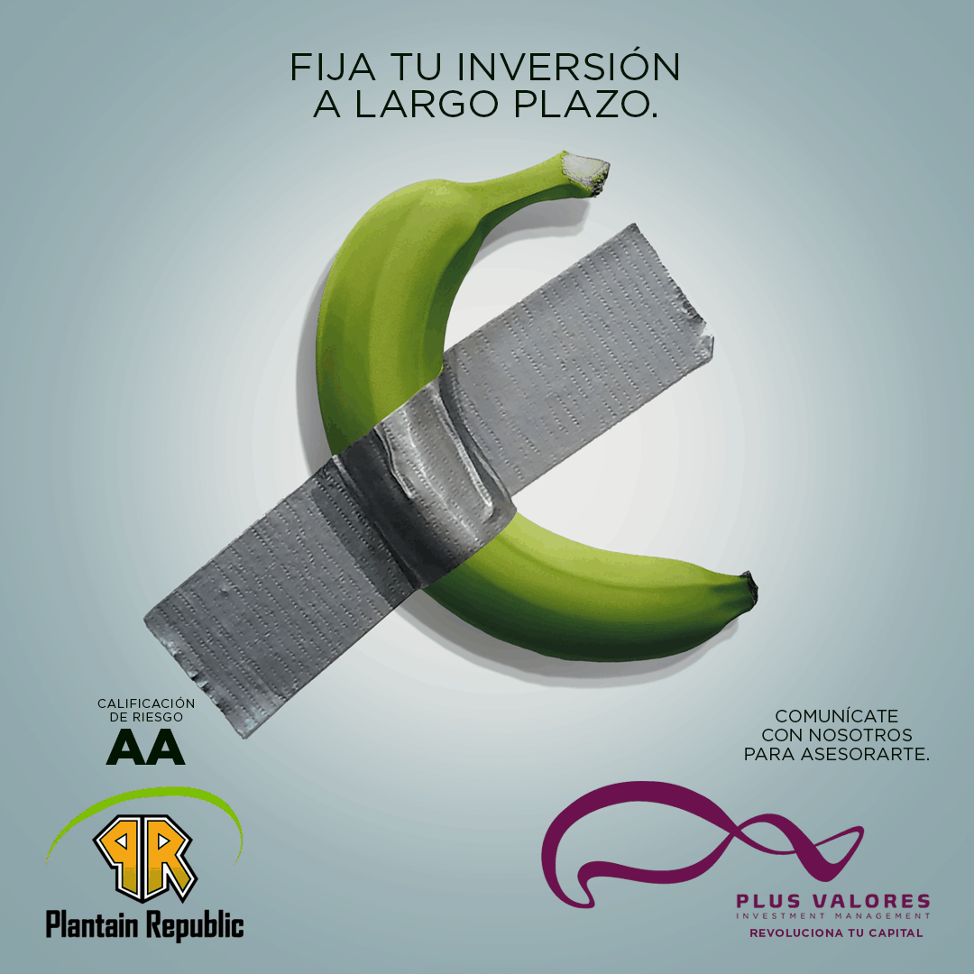 Plus Valores - Investment Management tweet media