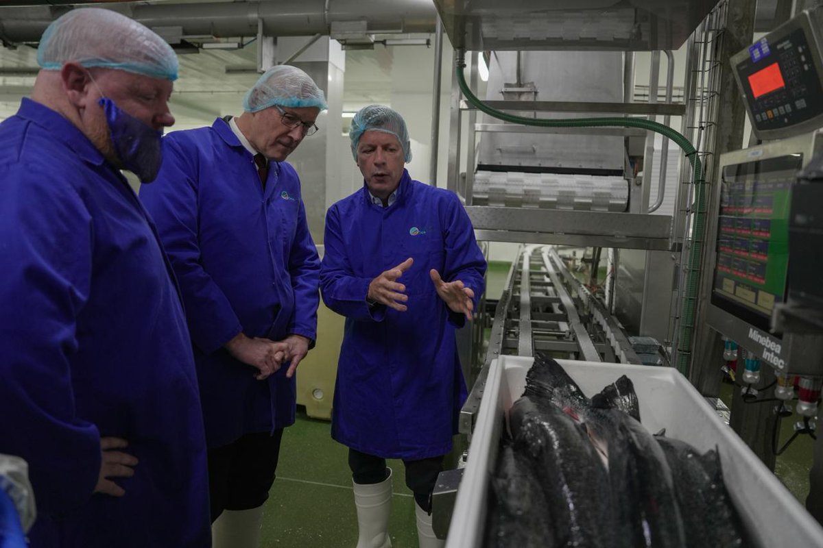 First Minister <a href="/JohnSwinney/">John Swinney</a> toured @ScotSeaFarms refitted salmon processing facility in Lerwick today with <a href="/ScotlandSalmon/">Salmon Scotland</a> and <a href="/CookeScotland/">Cooke Scotland</a>.

Scottish salmon was worth £1.2 billion at the farm gate in 2022 and supports around 12,000 jobs across its supply chain.