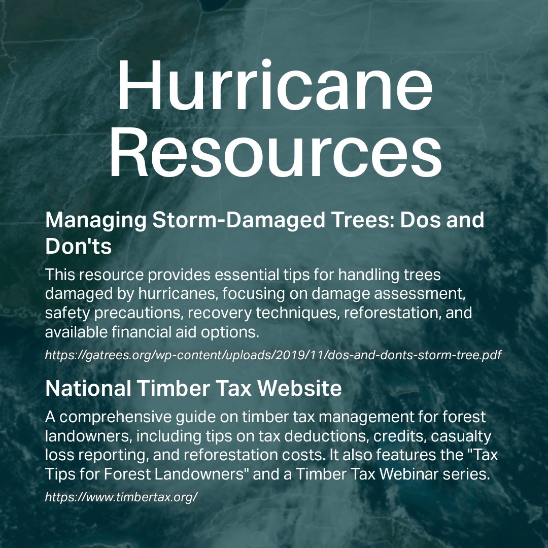 Stay prepared and informed! Learn how to manage storm-damaged trees, from safety tips to reforestation strategies, and explore the financial support available for recovery.
gatrees.org/wp-content/upl… timbertax.org