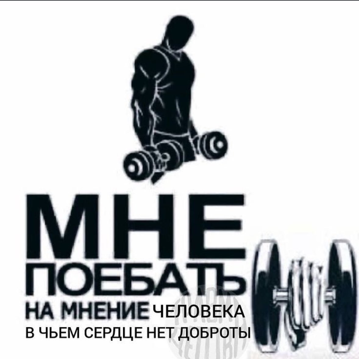 Нашла у подружки Миры в инстаграме самую идеальную пикчу для ответов в твиттере всяким мудакам и токсикам