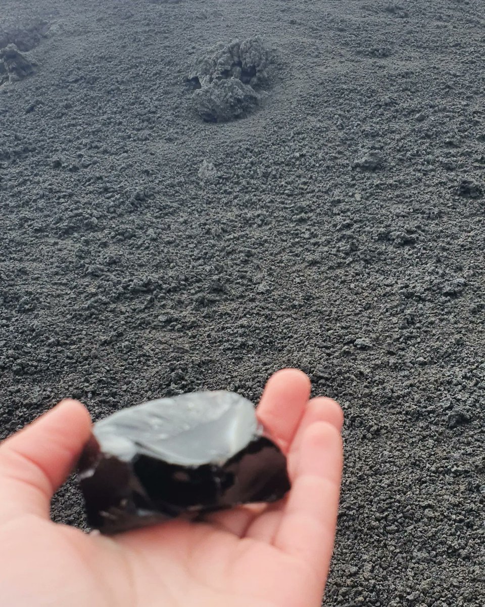 Lina🇲🇦🇵🇸 tweet media