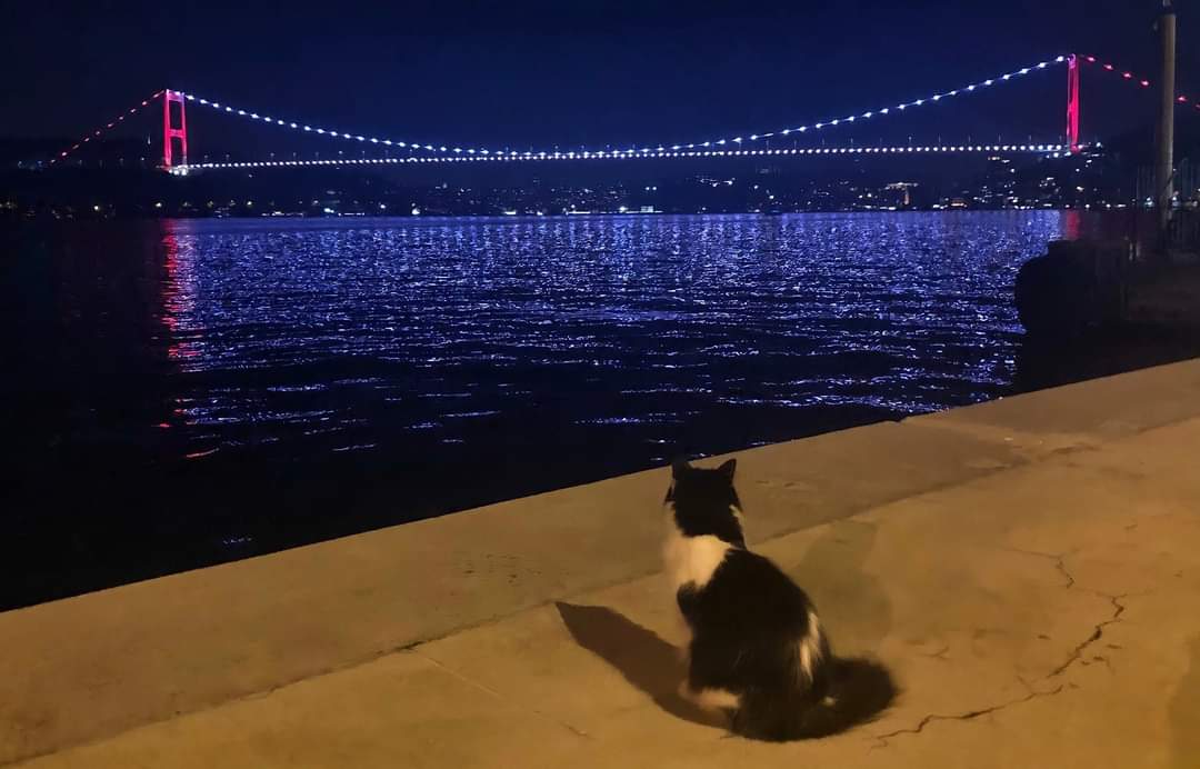 "Ruhun şarkı söylüyorsa, hayat seni mutlaka dansa kaldırır.."