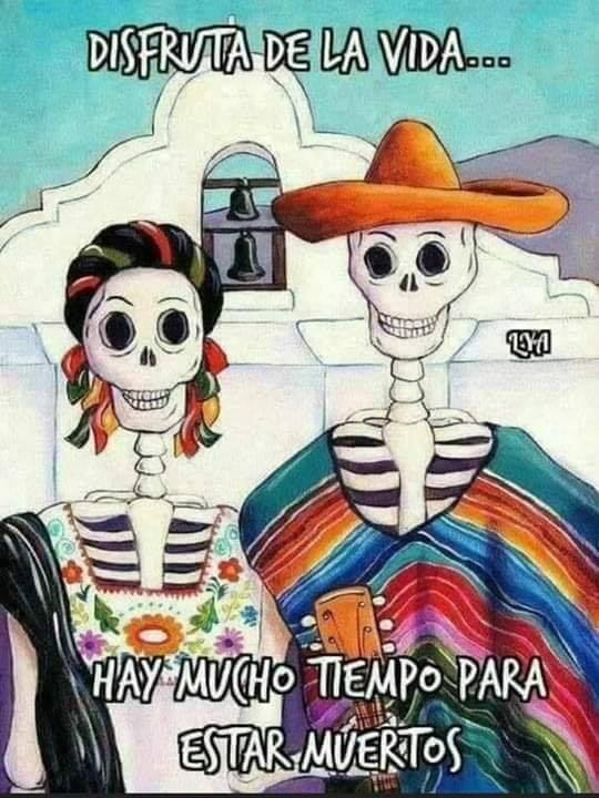 México en Imágenes tweet media