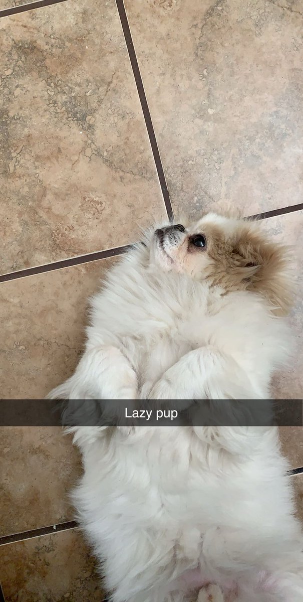 David l Zeno tweet media