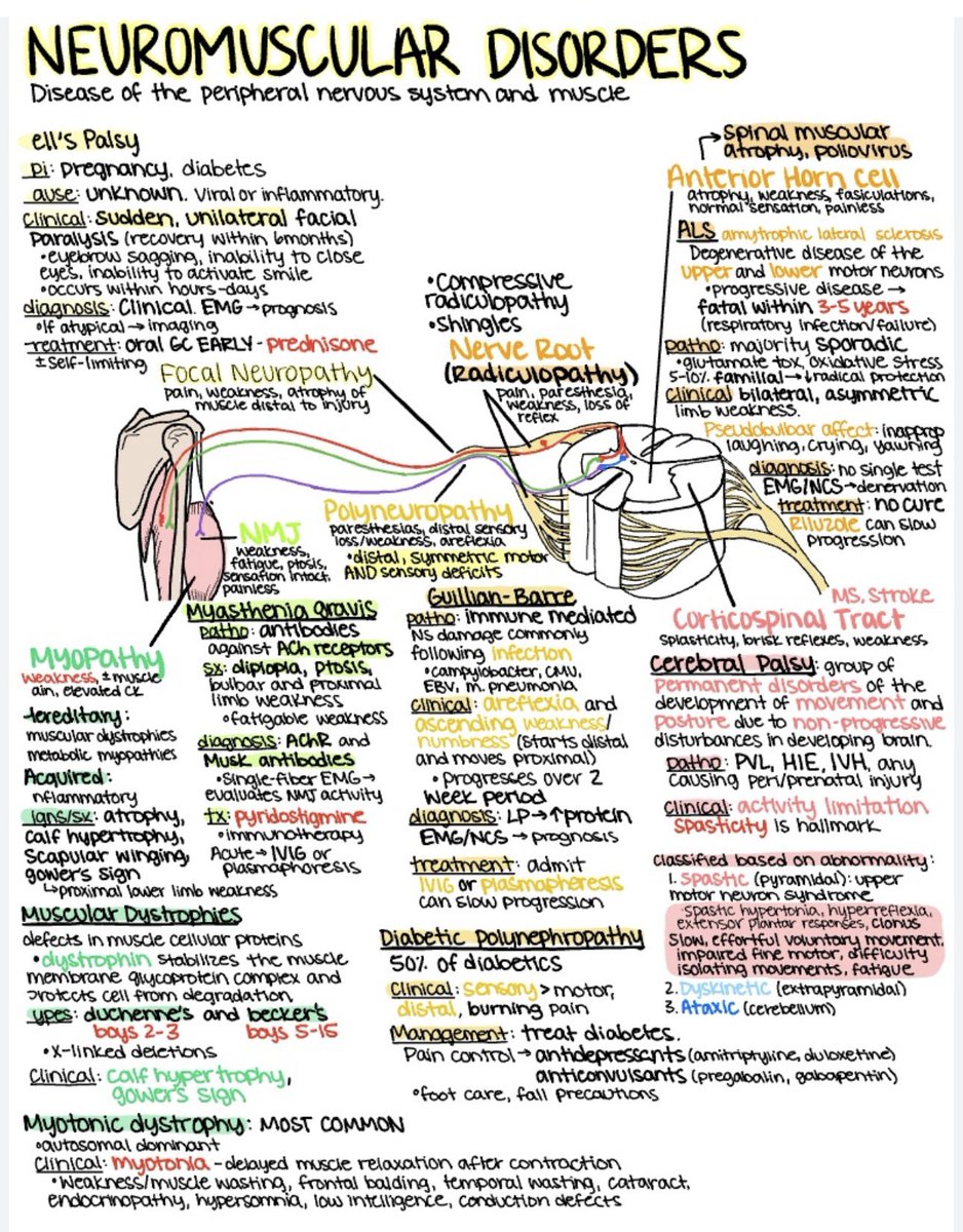 Oren Gottfried, MD tweet media