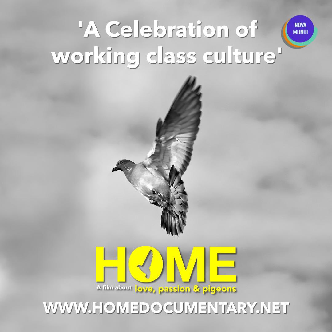 HOME THE DOCUMENTARY (@pigeon_men) on Twitter photo 