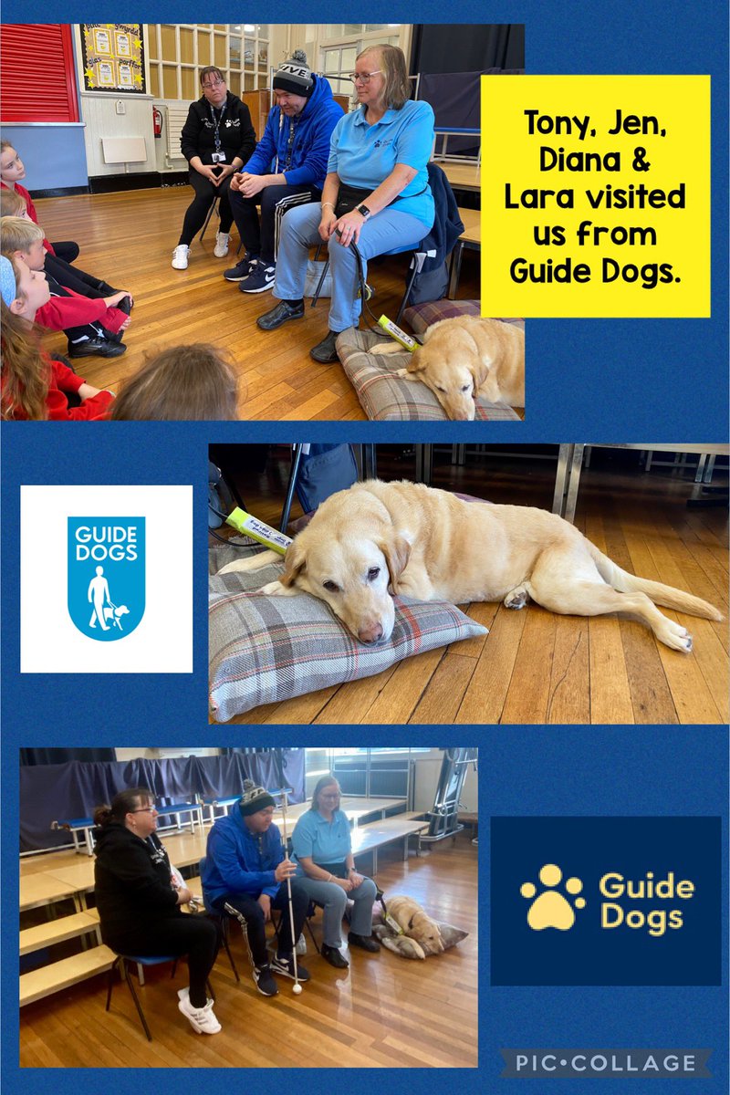 Dosbarth Glas (@ldavies_chl) on Twitter photo A massive thank you to Tony, Jen, Diana and Lara (the retired guide dog) from <a href="/guidedogs/">Guide Dogs</a> for visiting us today. We loved finding out about your lives and trying tasks to experience blindness. A massive thank you to Tony, Jen, Diana and Lara (the retired guide dog) from <a href="/guidedogs/">Guide Dogs</a> for visiting us today. We loved finding out about your lives and trying tasks to experience blindness.