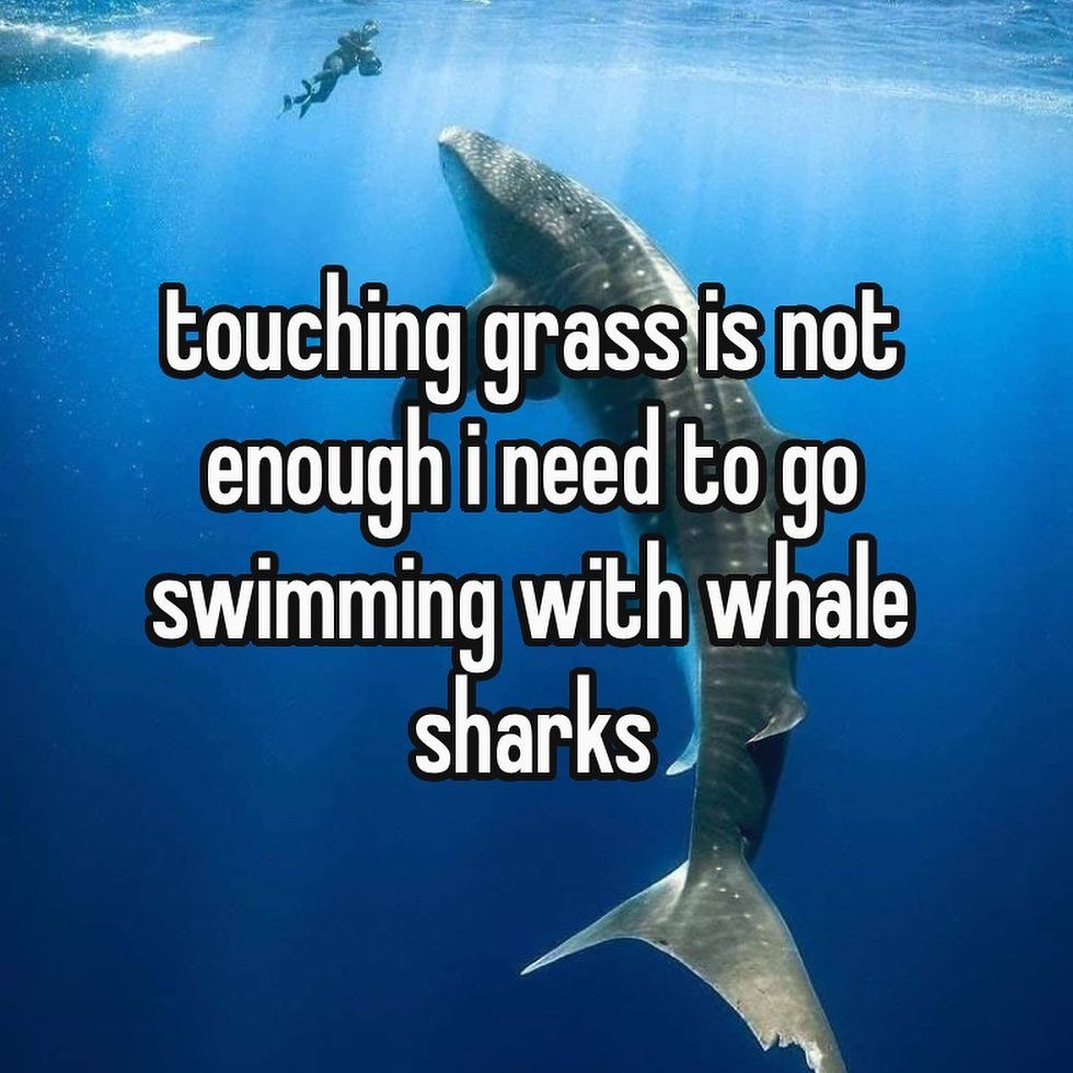 SharksEveryDayy's tweet image. 