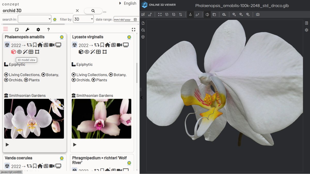 Conzept (@conzept__) on Twitter photo Added datasource support for <a href="/Smithsonian3D/">Smithsonian 3D</a> 3D files (with a preference for displaying the Draco glTF compressed 3D file)
Example: conze.pt/explore/orchid… Amazing flower scanning work🌸
I hope the "3D query showing non-3D items" API issue can be fixed: x.com/conzept__/stat… Added datasource support for <a href="/Smithsonian3D/">Smithsonian 3D</a> 3D files (with a preference for displaying the Draco glTF compressed 3D file)
Example: conze.pt/explore/orchid… Amazing flower scanning work🌸
I hope the "3D query showing non-3D items" API issue can be fixed: x.com/conzept__/stat…