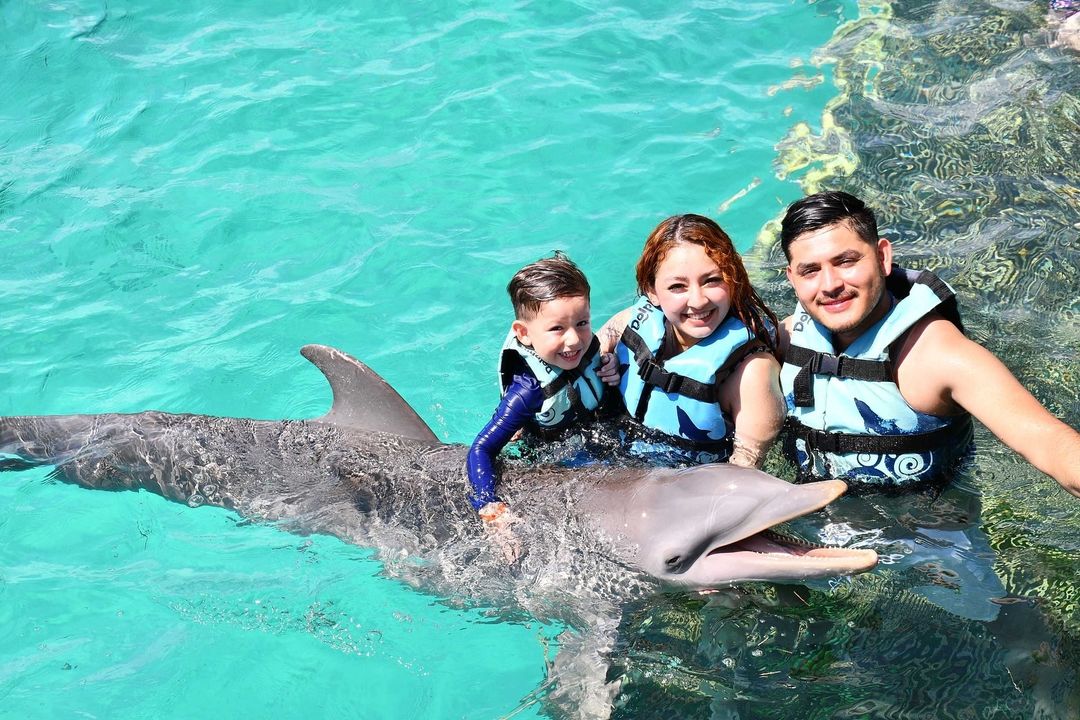 Dolphin Discovery tweet media