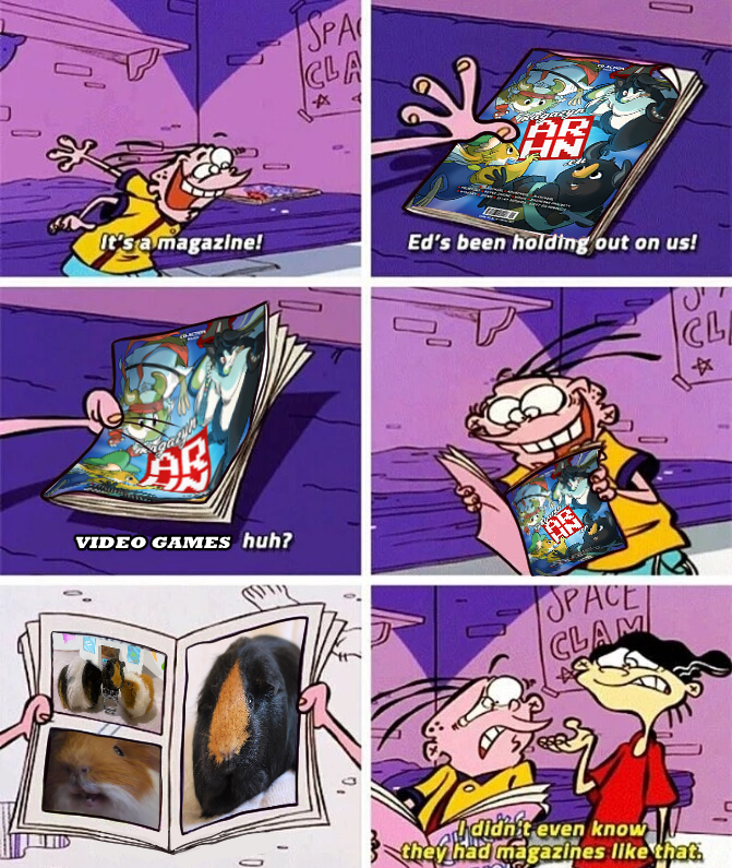 Tak będzie NA BANK! 🐹