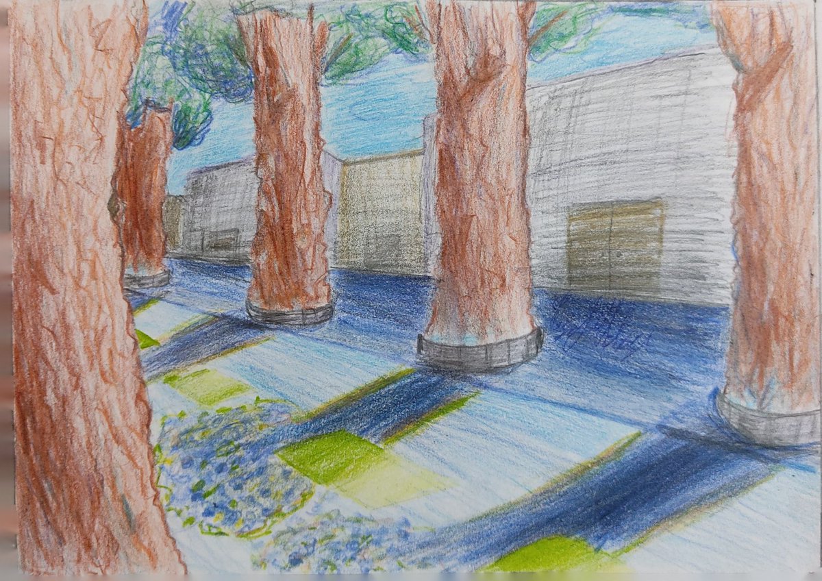 PhrogMonke's tweet image. Perspective 
#art #artist #prespective #traditionalart #Pencildrawing #ArtistOnTwitter  #colorpencil #Pencildrawing