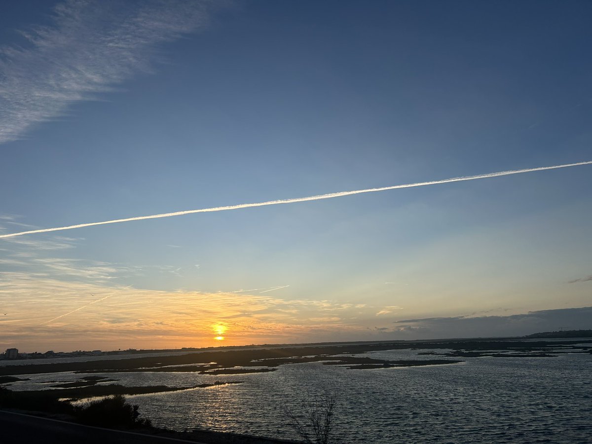 Today we visited the saltpans here in the Ria Formosa where we learnt about some of the species that are found there - flamingos and brine shrimp 🦩🦐 also learning about osmoregulation in extremophiles <a href="/MBERC_PlymUni/">MBERC</a> <a href="/PlymUni/">University of Plymouth</a> <a href="/PlymBioMarSci/">Biological and Marine Sciences</a> @ManuelaTruebano <a href="/benciotti/">Ben Ciotti</a>