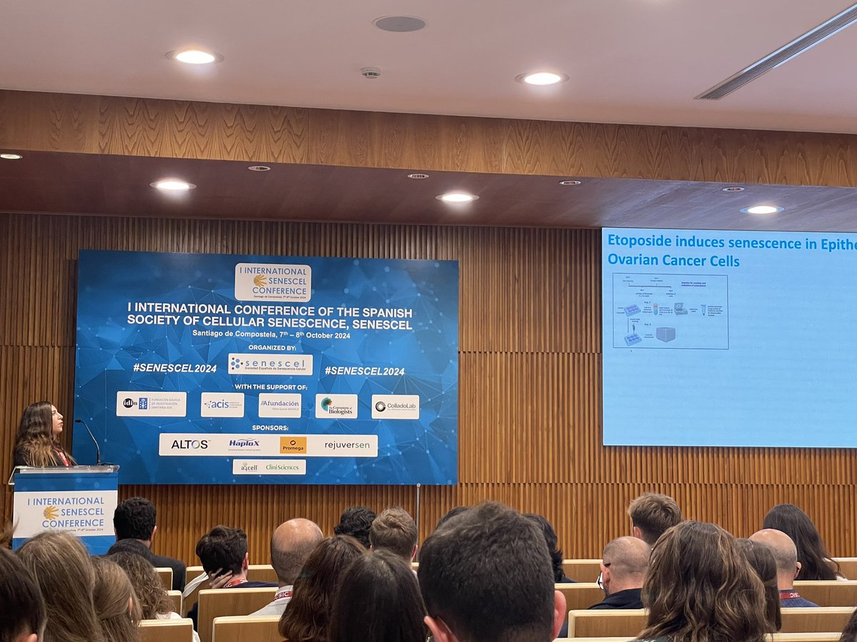 Juan Fafián-Labora (@fafian_juan) on Twitter photo Super proud of my PhD students <a href="/RocioMatob/">Rocío</a> , <a href="/Sergio_Lug/">Sergio Lucio</a> , <a href="/albaifen/">Alba Iglesias</a> , and #LamaBerjawi for presenting our lab’s work in progress on #senescence during the poster treasures session at #SENESCEL2024 <a href="/CICAUDC/">CICA</a> #INIBIC <a href="/UDC_gal/">Universidade da Coruña</a> ‼️👏👏👏👏👏 Super proud of my PhD students <a href="/RocioMatob/">Rocío</a> , <a href="/Sergio_Lug/">Sergio Lucio</a> , <a href="/albaifen/">Alba Iglesias</a> , and #LamaBerjawi for presenting our lab’s work in progress on #senescence during the poster treasures session at #SENESCEL2024 <a href="/CICAUDC/">CICA</a> #INIBIC <a href="/UDC_gal/">Universidade da Coruña</a> ‼️👏👏👏👏👏