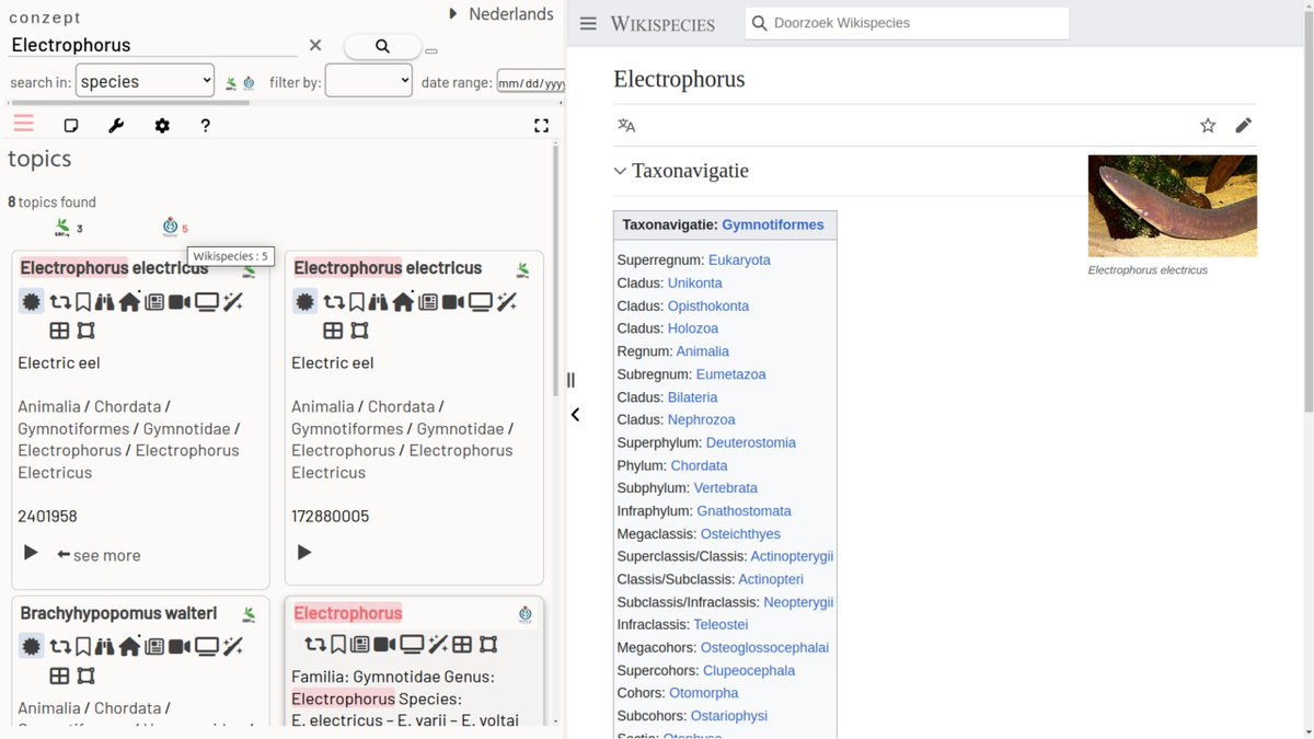 conzept__'s tweet image. New datasource: @wikispeciesbot
... and combined with @GBIF into a new datasource-set called "species".
Example: conze.pt/explore/Electr…
TODO: Wikidata augmentation of the Wikispecies results.