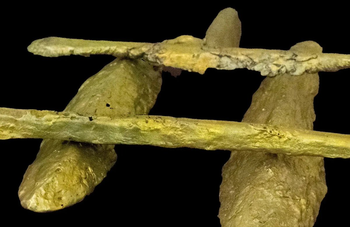 Archéologie Découvertes Actualités Recherches: Récupération d’un épave antique transportant un ra... …ctualites-et-decouvertes.blogspot.com/2024/10/recupe… 

#archeologie #histoire