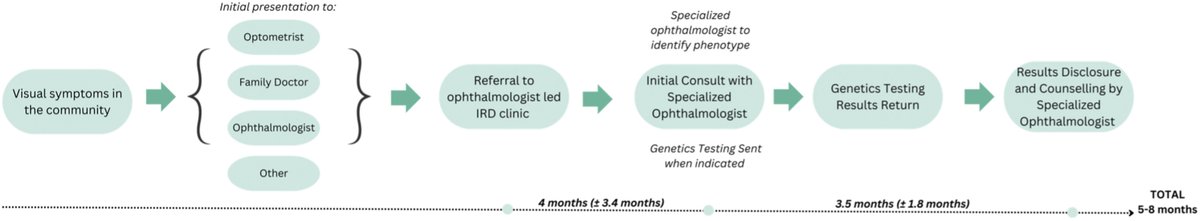 Ophthalmology (@aaojournal) on Twitter photo Study presents pathway for patients with suspected inherited retinal disease, which may reduce time to molecular diagnosis and may expedite the pathway to subsequent gene therapy trials.
ow.ly/KZeh50Te8qu
<a href="/BrianBallios/">Brian Ballios MD PhD</a> <a href="/HannanehF/">Hanna Faghfoury</a> <a href="/YinGracee/">Grace Yin</a> <a href="/UofTDOVS/">U of T DOVS</a> <a href="/UHN/">University Health Network</a> <a href="/QueensUHealth/">Queen's Health Sciences</a> Study presents pathway for patients with suspected inherited retinal disease, which may reduce time to molecular diagnosis and may expedite the pathway to subsequent gene therapy trials.
ow.ly/KZeh50Te8qu
<a href="/BrianBallios/">Brian Ballios MD PhD</a> <a href="/HannanehF/">Hanna Faghfoury</a> <a href="/YinGracee/">Grace Yin</a> <a href="/UofTDOVS/">U of T DOVS</a> <a href="/UHN/">University Health Network</a> <a href="/QueensUHealth/">Queen's Health Sciences</a>