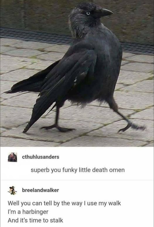 FreelanceOwl's tweet image. #WriterLife
#Spooktober2024
#FridayFunDay 😆🎶🤘