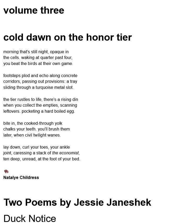 the literary magazine / the poems