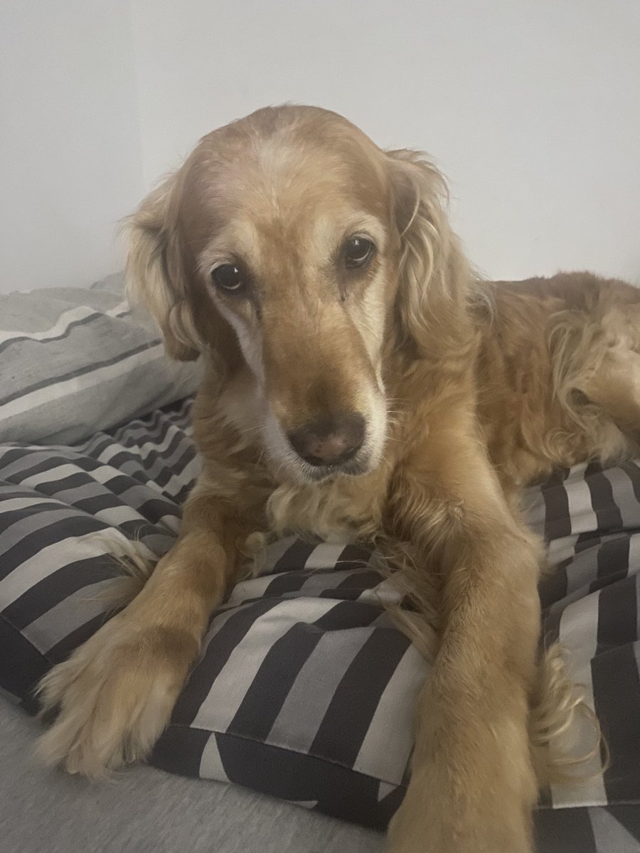 ajzerobuild's tweet image. 