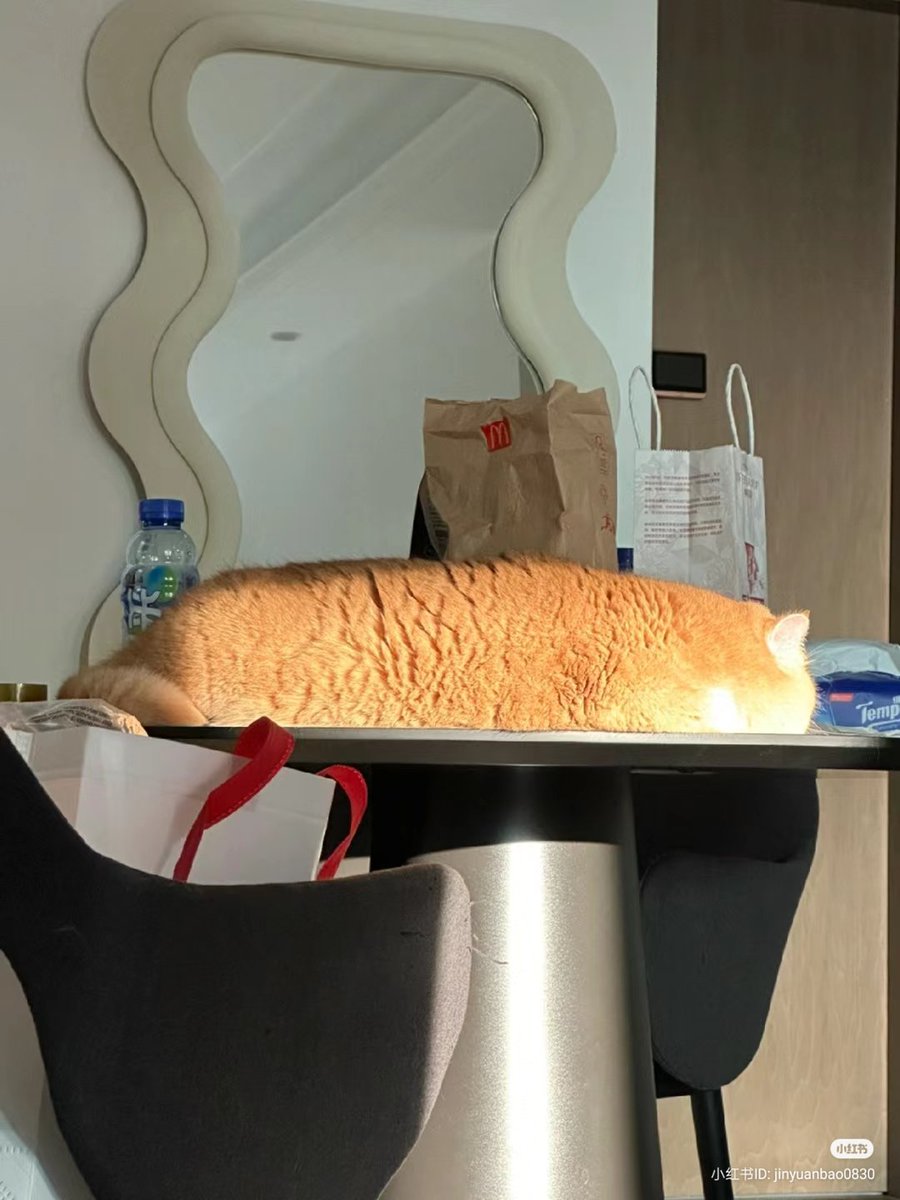 🍞🍞🍞