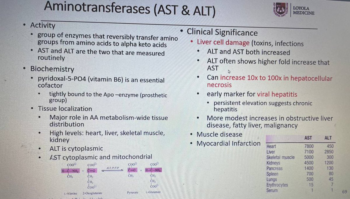 When AST and ALT are elevated, think beyond the liver and consider other sites of production. Thank you, Dr. Maggiore, for the insightful lecture; I really enjoyed your presentation!#Path2Loyola #PathElective #DocMaggiore