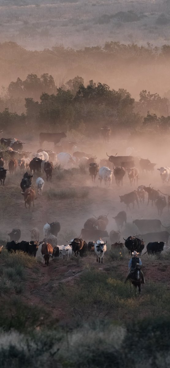 West. Texas. Is. The. Best. Texas.