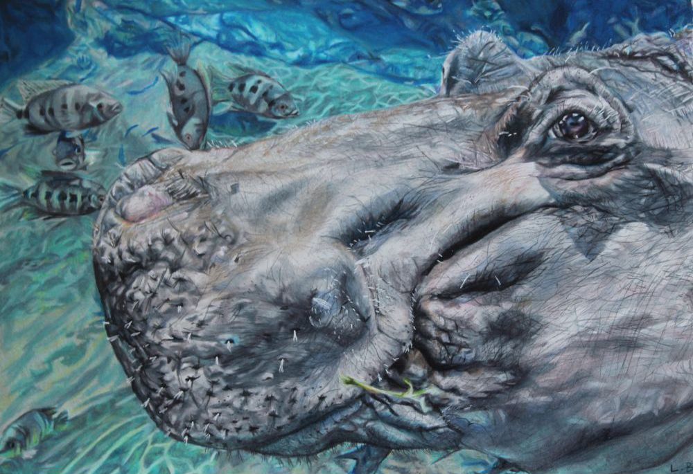 Congrats to Brentwood High School junior Lizzy Butler for being named a finalist in the 2024 Sketch for Survival Junior competition! Her artwork will be showcased alongside prestigious artists in the “On the Edge” exhibition, with stops in Edinburgh and London this fall. (1/2)