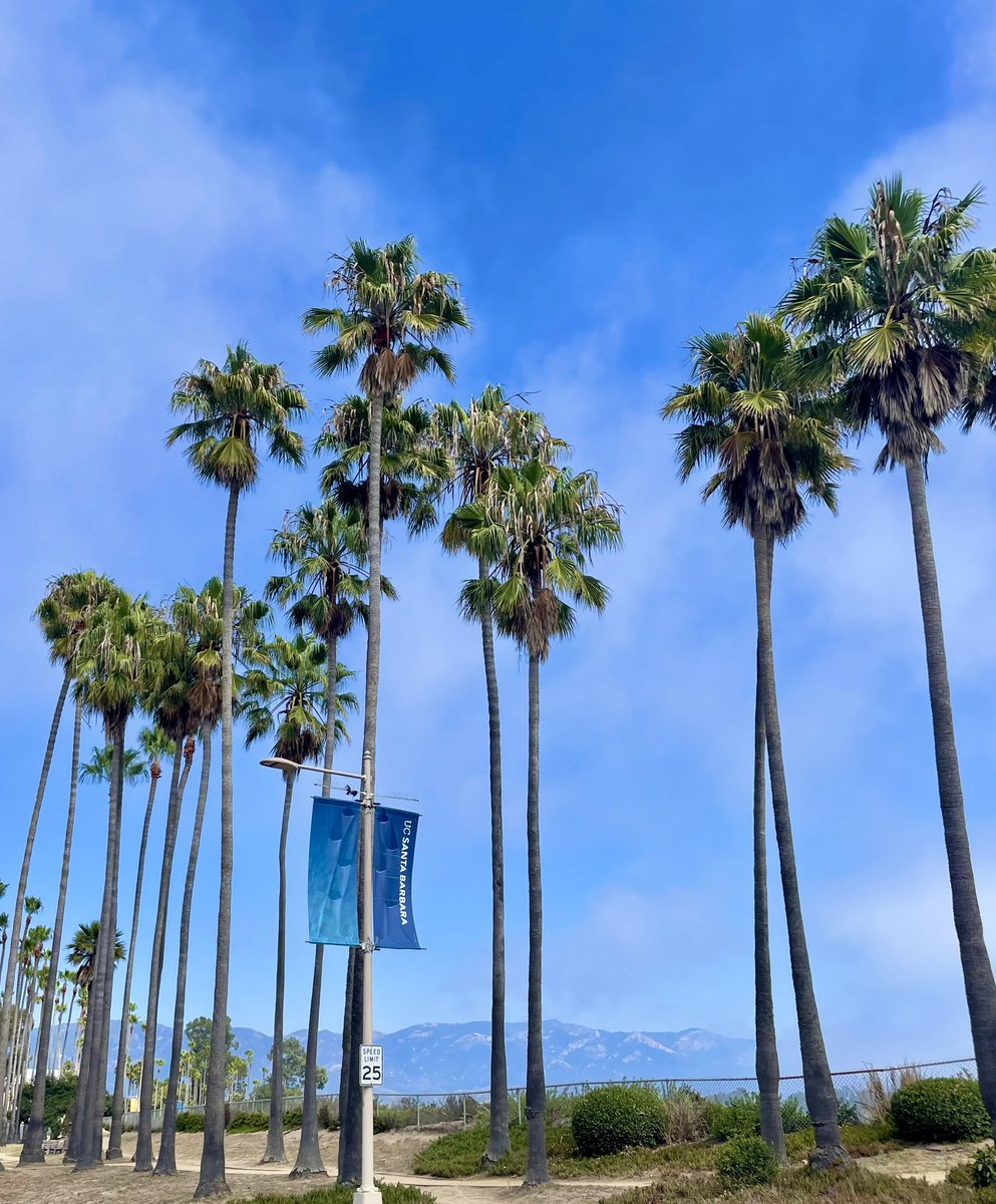 Lucas Perez (@perez_lucas_) on Twitter photo Very excited to be spending this semester at <a href="/emLabUCSB/">emLab UC Santa Barbara</a> & <a href="/BrenUCSB/">UCSB Bren School</a>! Looking forward to meeting great people, presenting my work on air pollution and productivity... and seeing if the ocean air boosts mine! Very excited to be spending this semester at <a href="/emLabUCSB/">emLab UC Santa Barbara</a> & <a href="/BrenUCSB/">UCSB Bren School</a>! Looking forward to meeting great people, presenting my work on air pollution and productivity... and seeing if the ocean air boosts mine!