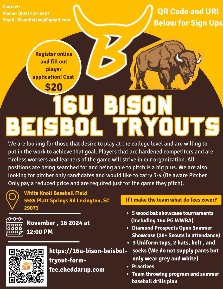 Bison Beisbol tweet media