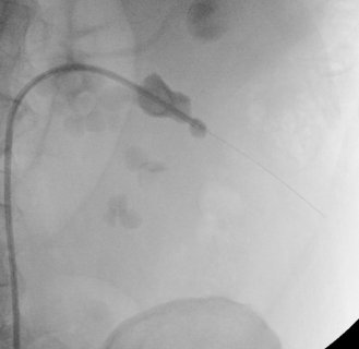 Yekutiel Sandman tweet media