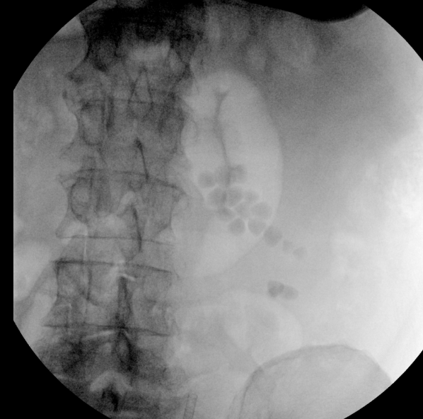 Yekutiel Sandman tweet media