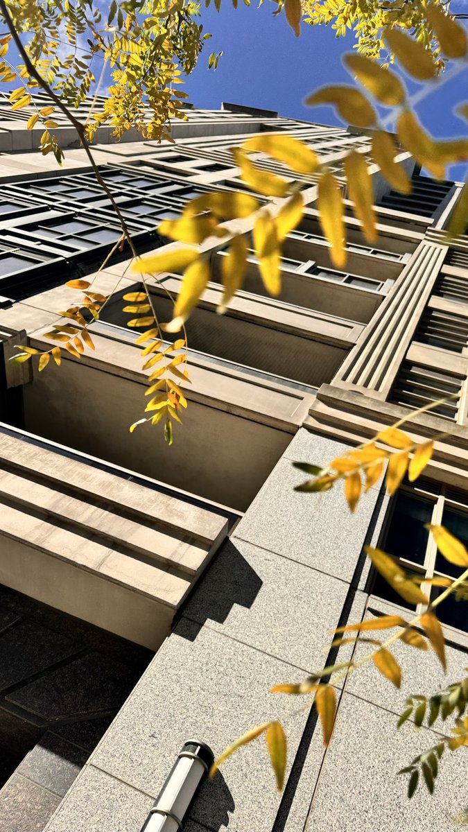 CondoMonde+CondominiumsCom (@condominiumscom) on Twitter photo 