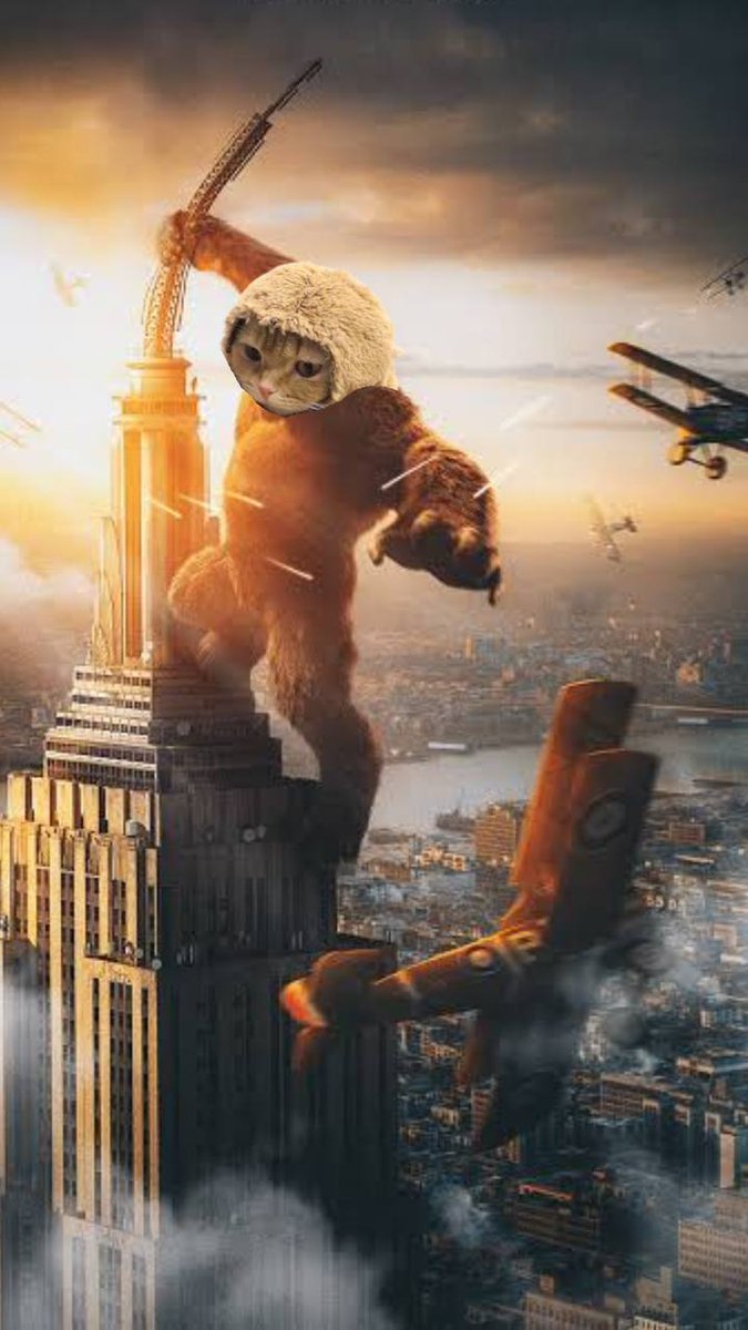 I AM $MONCAT

HALF MONKEY HALF CAT

100% A KING