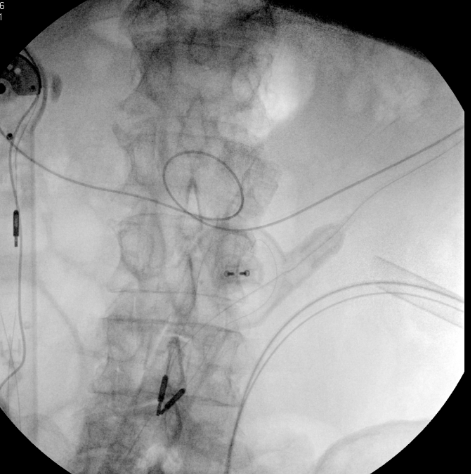 Yekutiel Sandman tweet media
