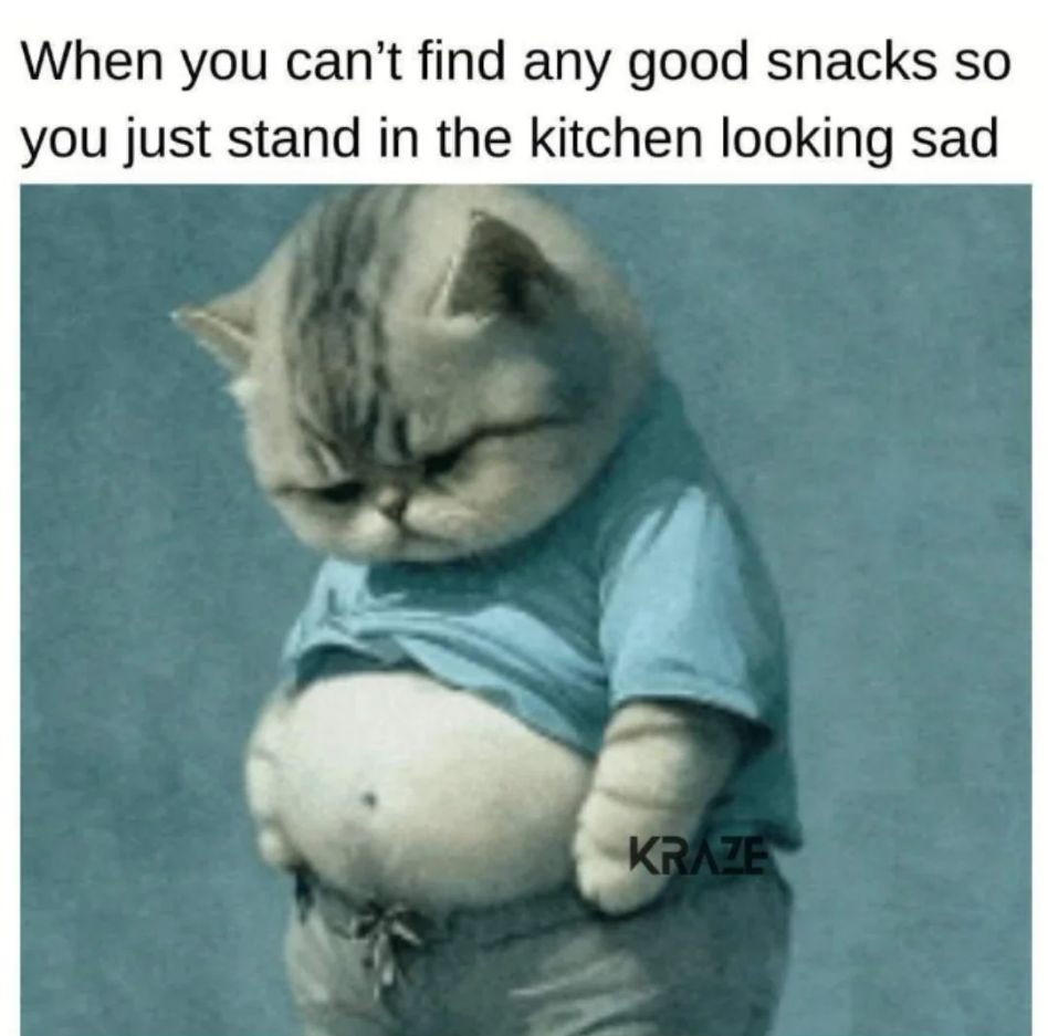 WholesomeMeme's tweet image. 