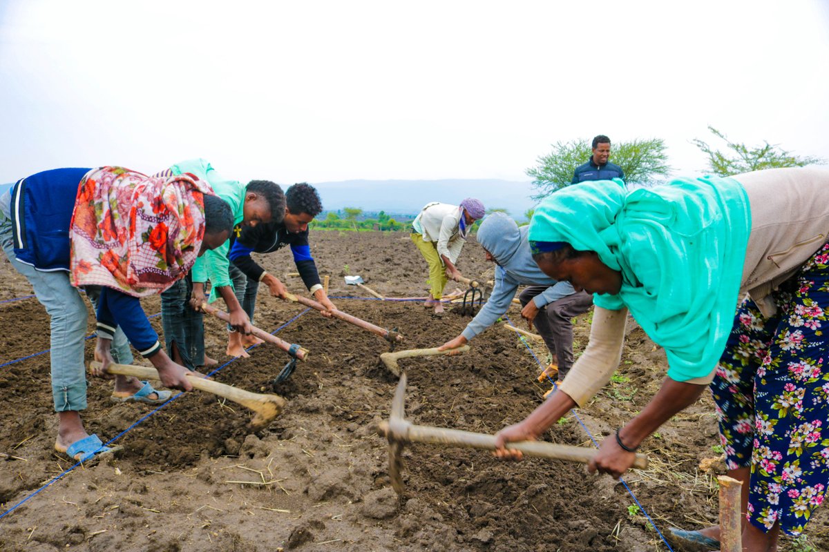 📢 After five years, our 4R Project is wrapping up. More than 152,000 people benefitted, which increased food production, access to credit &amp; gender equality in Ethiopia, Ghana &amp; Senegal. Read more about our impact: cdfcanada.coop/4r-nsp-wraps-u… @Fertilizer.CA <a href="/CanadaDev/">Development Canada</a> <a href="/PlantAfrican/">African Plant Nutrition Institute</a>