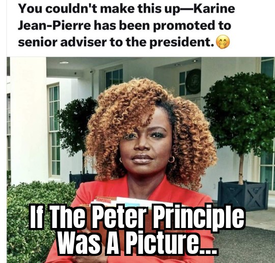 ScottOnCapeCod's tweet image. #TrumpVance2024