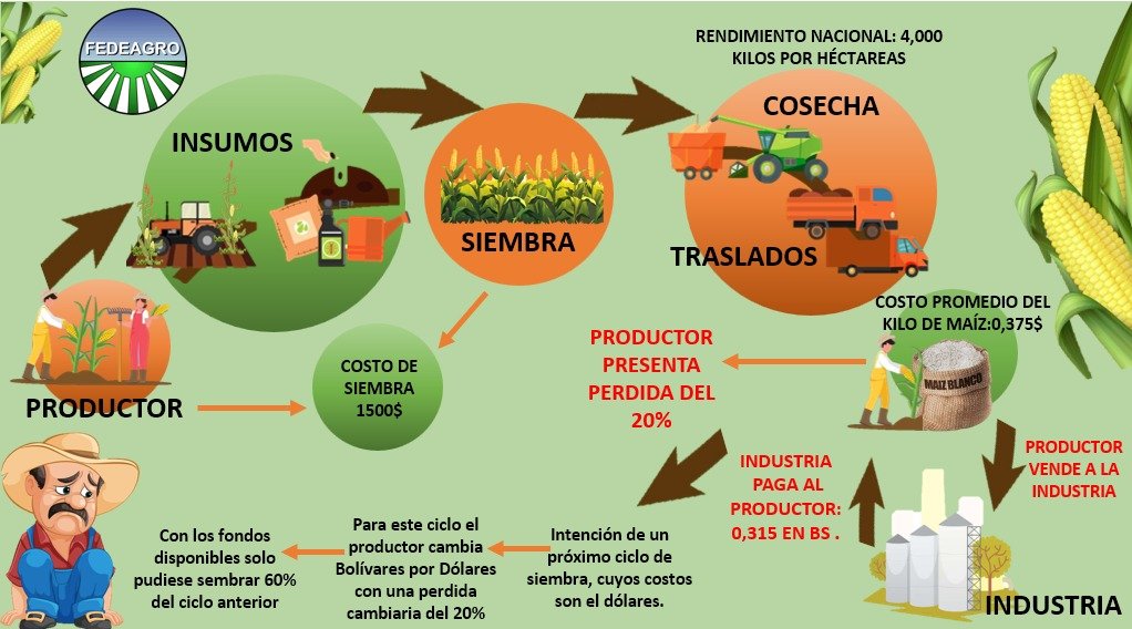 FEDEAGRODIGITAL's tweet photo. La producción de maíz en Venezuela presenta desafíos. El costo de siembra por ha es de $1500, mientras que el rendimiento promedio es de 4000 kg. Sin embargo, el productor solo recibe $0.31 por kilo en promedio.
#ProductoresVendenAPerdida https://t.co/Fl0zmG0TVi
