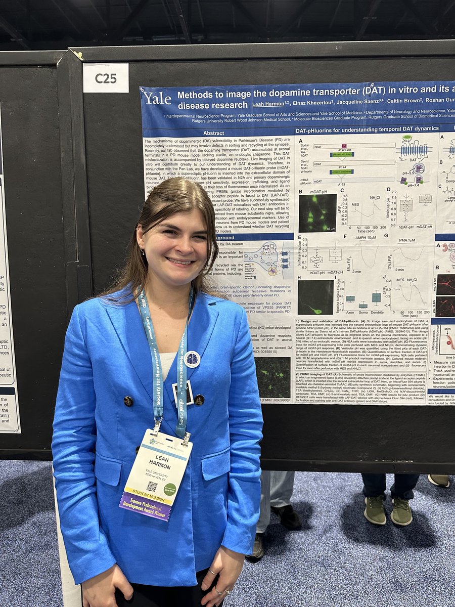 SChandraLab's tweet image. PhD student in the lab Leah Harmon presenting her work on Dopamine transporter imaging techniques at #SfN24!